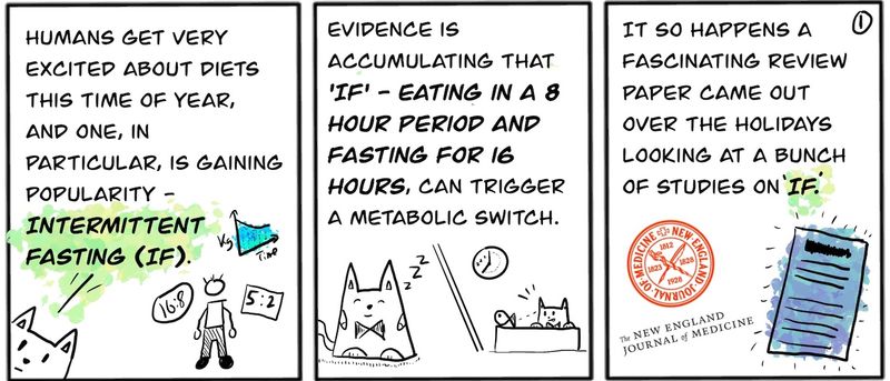 Effects of Intermittent Fasting on Health, Ageing, and Disease [Comic]